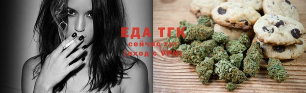 тгк Абаза