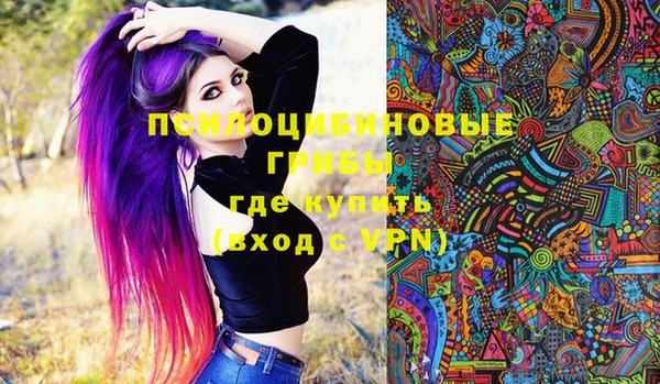тгк Абаза