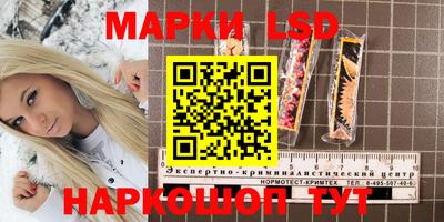 PSILOCYBIN Пенза